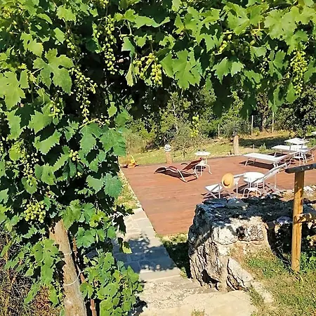 Casagrande Bed & Breakfast Quercegrossa